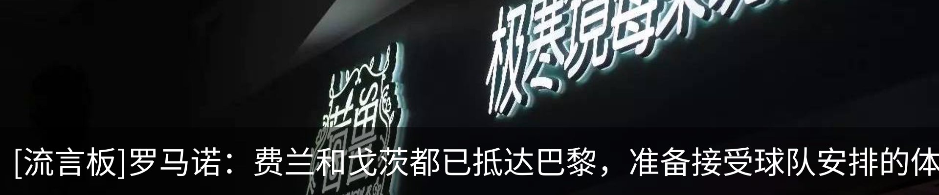 新闻动态